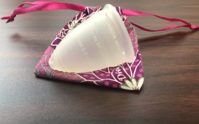 Product Review: The Diva Cup